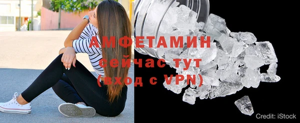 Альфа ПВП Верея