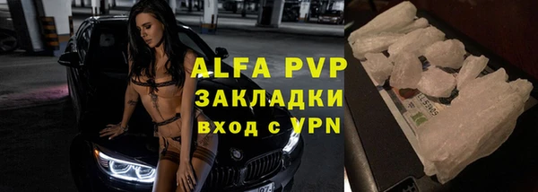 Альфа ПВП Верея